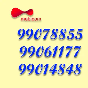 99078855, 99061177, 99014848, Улаанбаатар — Баянгол — 3, 4 хороолол