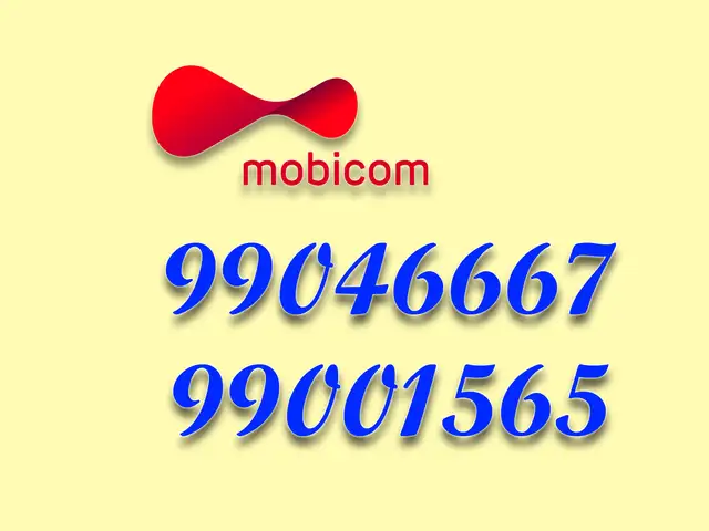 99046667, 99001565, Улаанбаатар — Баянгол — 3, 4 хороолол