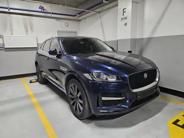 Jaguar Бусад