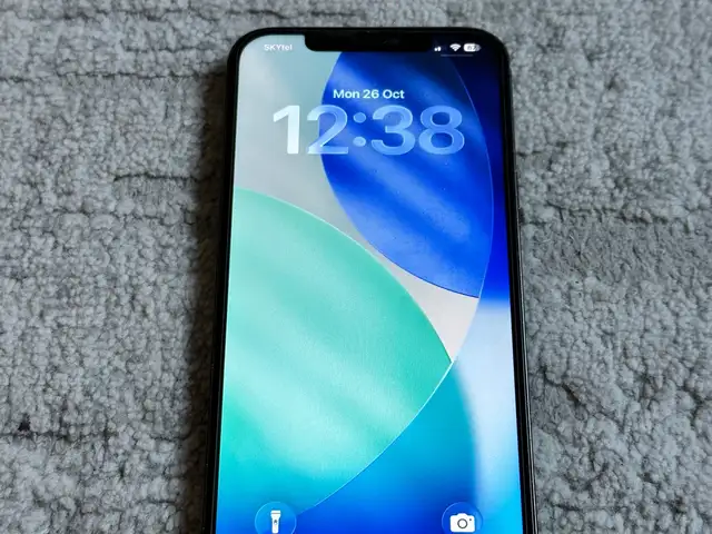Apple iPhone 12 Pro Max, 256 gb, Graphite, Улаанбаатар — Баянгол — Нарны хороолол
