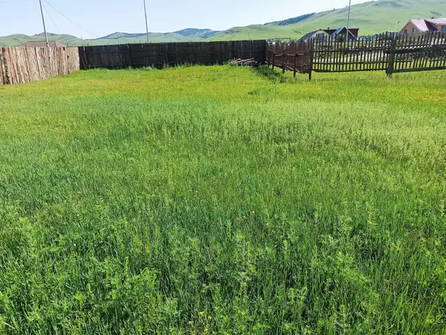Зам дагуу хоосон хашаа, Төв