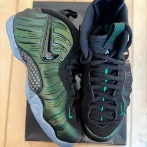 Nike air foamposite pro pine green, Улаанбаатар — Сүхбаатар — Дөлгөөн нуур