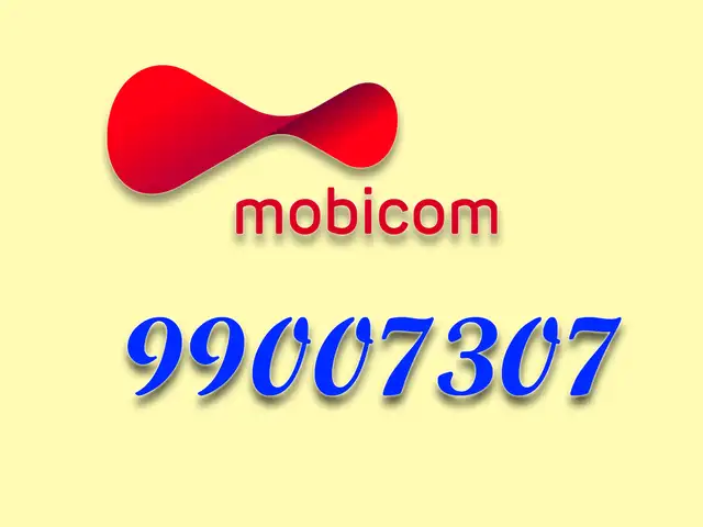 99007307 дугаар, Улаанбаатар — Баянгол — 3, 4 хороолол