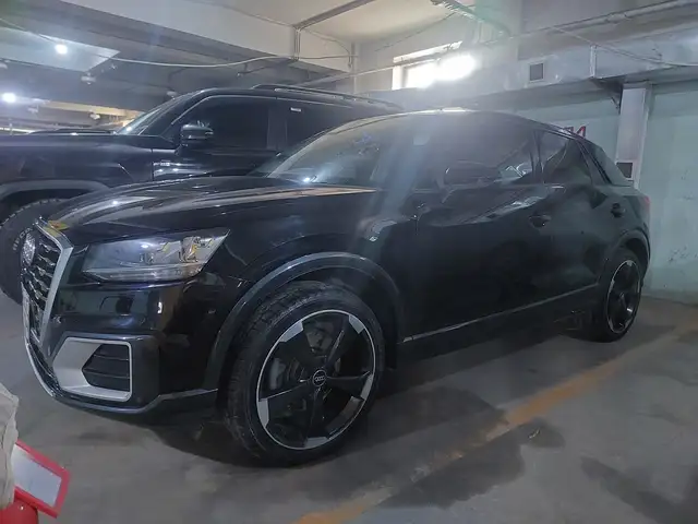 Audi Бусад