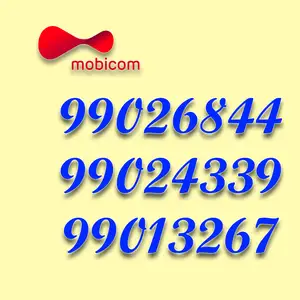 99026844, 99024339, 99013267 дугаар, Улаанбаатар — Баянгол — 3, 4 хороолол