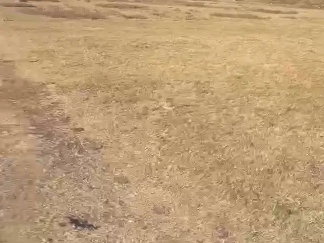Зуслангийн газар, Төв