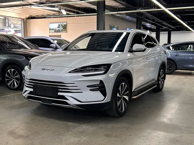 BYD Бусад