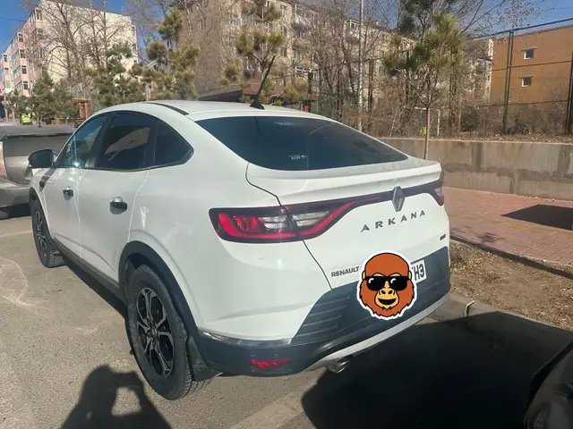 Renault Бусад