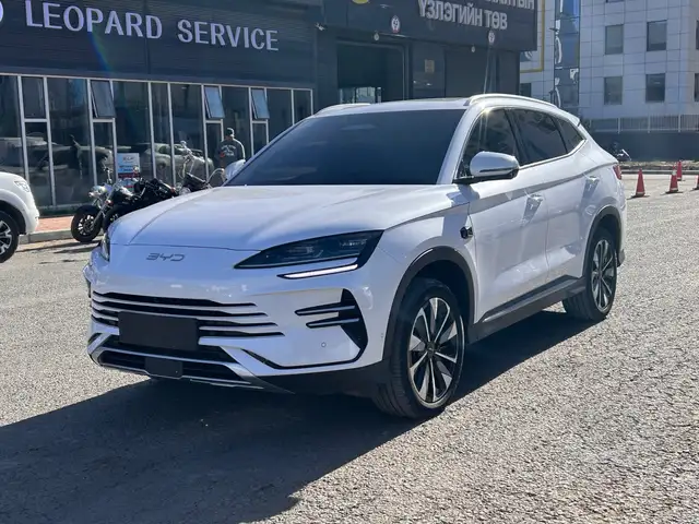BYD Бусад