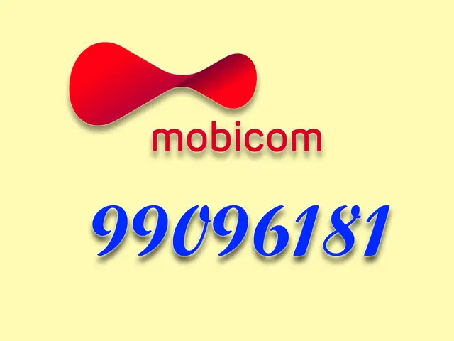 99096181, Улаанбаатар — Баянгол — 3, 4 хороолол