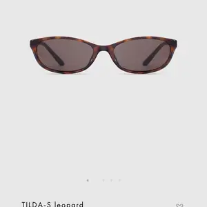 Blue elephant sunglass, Улаанбаатар — Сүхбаатар — 2-р хороо