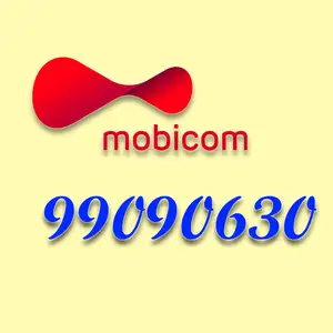 99090630, Улаанбаатар — Баянгол — 3, 4 хороолол