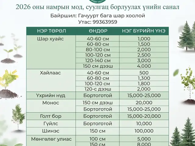 Модны суулгац, Улаанбаатар — Баянзүрх — 20-р хороо