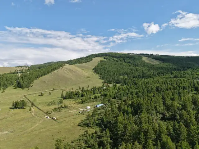 Цонжинд модны захад 1.2га газар, Төв
