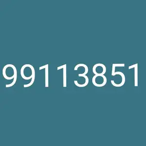 99113851, Улаанбаатар — Сүхбаатар — 5-р хороолол