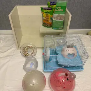 hamster тоглоом, Улаанбаатар — Баянзүрх — 15-р хороо