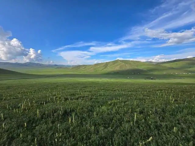 Шинэ нисэхтэй ойролцоо 10га газар, Төв