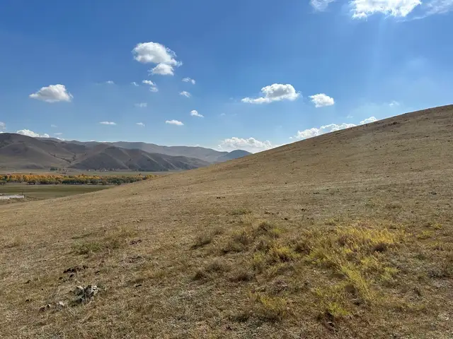 Бзд улиастайн аманд газар, Улаанбаатар — Баянзүрх — Улиастай
