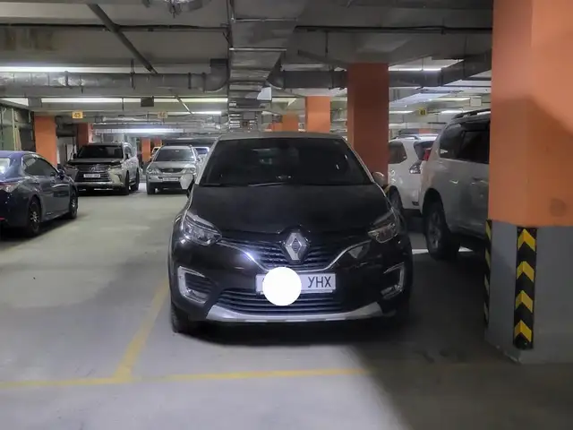 Renault Бусад