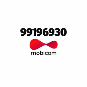 99196930 дугаар, Улаанбаатар — Сүхбаатар — 5-р хороолол