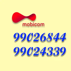 99026844, 99024339 дугаар, Улаанбаатар — Баянгол — 3, 4 хороолол