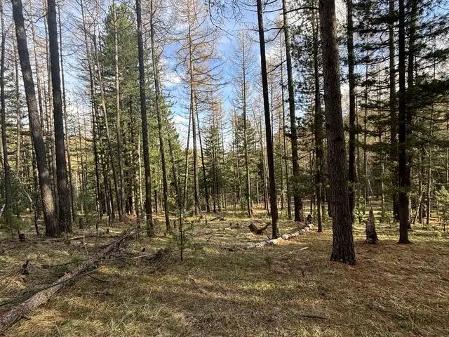 Сүхбаатар-д т сэлхийн эцэс гүнжийн аманд зуслангийн газар, Улаанбаатар — Сүхбаатар — 11-р хороо