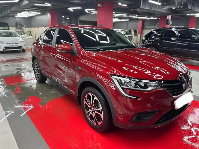 Renault Бусад